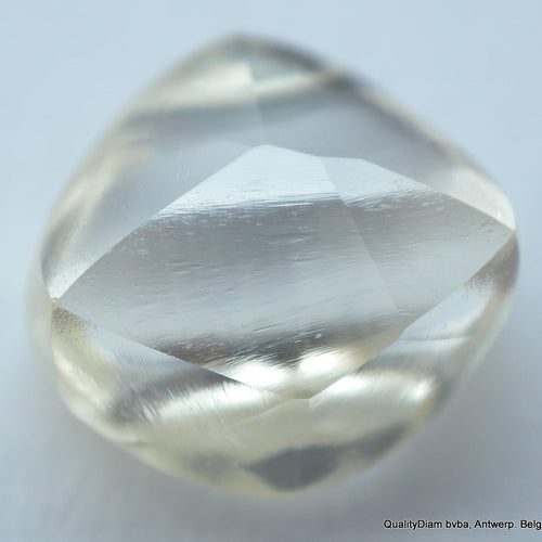 Unearth Nature's Masterpiece: Rough Diamonds by QualityDiam