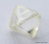 H Flawless Clean White 0.51 Carat Rough Diamond Natural, Genuine Diamond Uncut