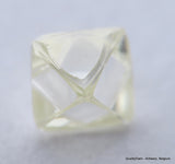 H Flawless Clean White 0.51 Carat Rough Diamond Natural, Genuine Diamond Uncut