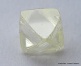 I VVS1 Real & beautiful diamond out diamond mine. Natural, uncut gemstone