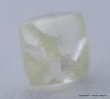 H VVS1 natural diamond ideal for uncut diamond jewelry. Out from a diamond mine