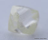 H VVS1 natural diamond ideal for uncut diamond jewelry. Out from a diamond mine