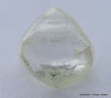 H VVS1 natural diamond ideal for uncut diamond jewelry. Out from a diamond mine