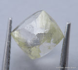 Billion years old beautiful diamond out from diamond mine 2.48 carats gem stone