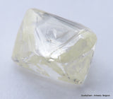 Billion years old beautiful diamond out from diamond mine 2.42 carats gem stone