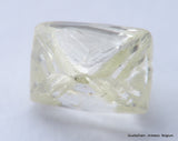 Billion years old beautiful diamond out from diamond mine 2.42 carats gem stone