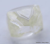 H VS2 0.40 Carat Diamond Out From Diamond Mine Precious Gemstone Natural Diamond