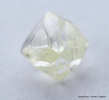 H VS2 0.40 Carat Diamond Out From Diamond Mine Precious Gemstone Natural Diamond