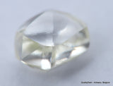 F VVS1 diamond ideal for uncut diamond jewelry. Out from a diamond mine 0.41 carat