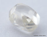 F VS1 diamond ideal for uncut diamond jewelry. Out from a diamond mine 0.61 carat