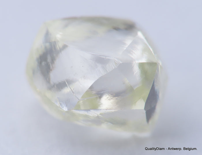 H VVS1 diamond ideal for uncut diamond jewelry. Out from a diamond mine 0.62 carat.