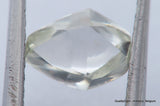 F VS1 diamond ideal for uncut diamond jewelry. Out from a diamond mine 0.71 carat