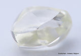 G VVS1 natural diamond ideal for uncut diamond jewelry. Out from a diamond mine. 0.73 carat
