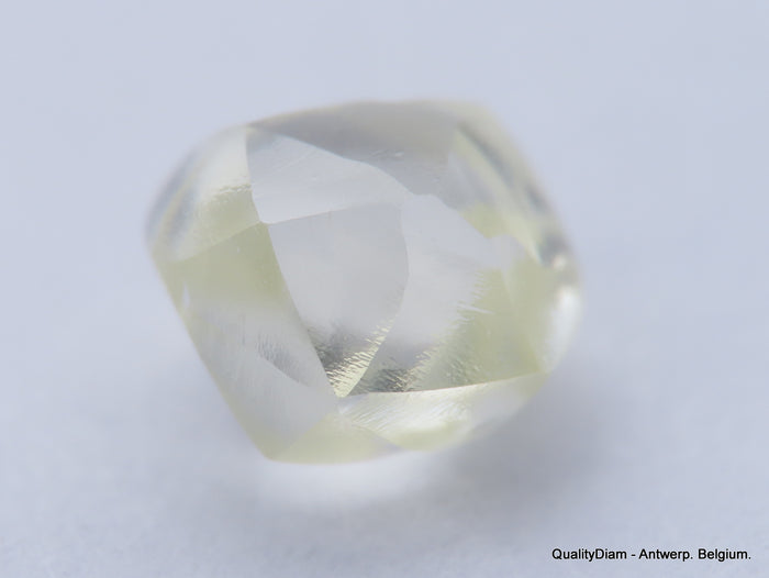 Clean White Rough Diamond High Value High Quality I Flawless Diamond 0.66 carat