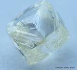 Beautiful diamond out from diamond mine ideal for uncut diamond jewelry