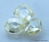 0.73 carat of beautiful collection of natural diamonds out from diamond mines