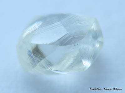 H VS1 natural diamond ideal for uncut diamond jewelry. Out from a diamond mine