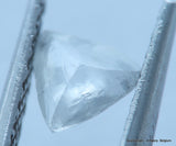 0.67 carat beautiful collection - high quality natural white diamonds out mines