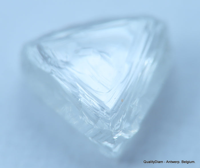 E VS1 uncut diamond also known as rough diamond out from a diamond mine