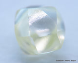 Beautiful diamond mackle out from a diamond mine ideal for uncut diamond jewelry