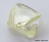 For rough diamond jewelry 0.46 carat Fancy Yellow beautiful gem diamond