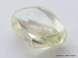 Beautiful diamond mackle out from a diamond mine ideal for uncut diamond jewelry