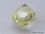 Beautiful diamond intense fancy yellow rare natural diamond mackle