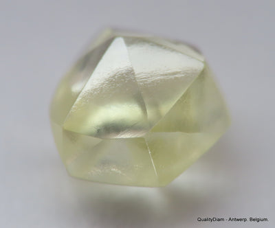 For rough diamond jewelry 0.51 carat beautiful gem diamond mackle