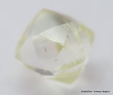 K Si2 0.57 Carat Real Diamond Genuine Diamond Out From Diamond Mine Precious Gem