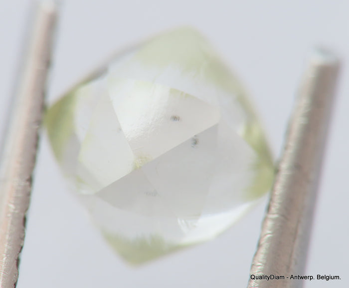 K Si2 0.57 Carat Real Diamond Genuine Diamond Out From Diamond Mine Precious Gem