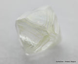 Clean & beautiful diamond out diamond mine. Natural uncut gemstone. Real is rare