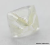 Clean & beautiful diamond out diamond mine. Natural uncut gemstone. Real is rare
