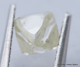 H VVS1 Real & beautiful diamond out diamond mine. Natural, uncut gemstone