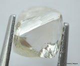buy natural diamond
