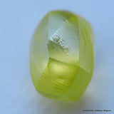 Vivid fancy yellow diamond out from a diamond mine, buy now & enjoy lifetime