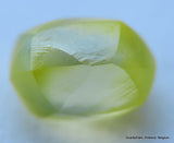 Vivid fancy yellow diamond out from a diamond mine, buy now & enjoy lifetime