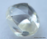 H VVS1 High Quality Genuine Diamond Out From A Diamond Mine Uncut Rough Diamond