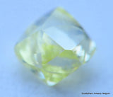 Uncut diamond out diamond mine, buy now & enjoy lifetime as a diamond is forever