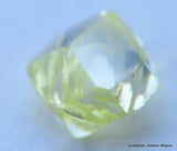Uncut diamond out diamond mine, buy now & enjoy lifetime as a diamond is forever