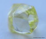 Fancy yellow 0.27 carat natural diamond uncut rough genuine diamond out mine