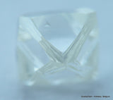 E Flawless, top end gemstone full white natural diamond out from a diamond mine