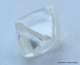 E Flawless, top end gemstone full white natural diamond out from a diamond mine