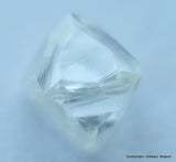 E Flawless, top end gemstone full white natural diamond out from a diamond mine