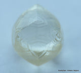 1.03 CARAT NATURAL DIAMOND WITH RARE CHARACTERS ON SURFACE, OUT FROM A DIAMOND