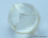 1.03 CARAT NATURAL DIAMOND WITH RARE CHARACTERS ON SURFACE, OUT FROM A DIAMOND