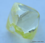 Beautiful diamond intense fancy yellow rare natural diamond mackle
