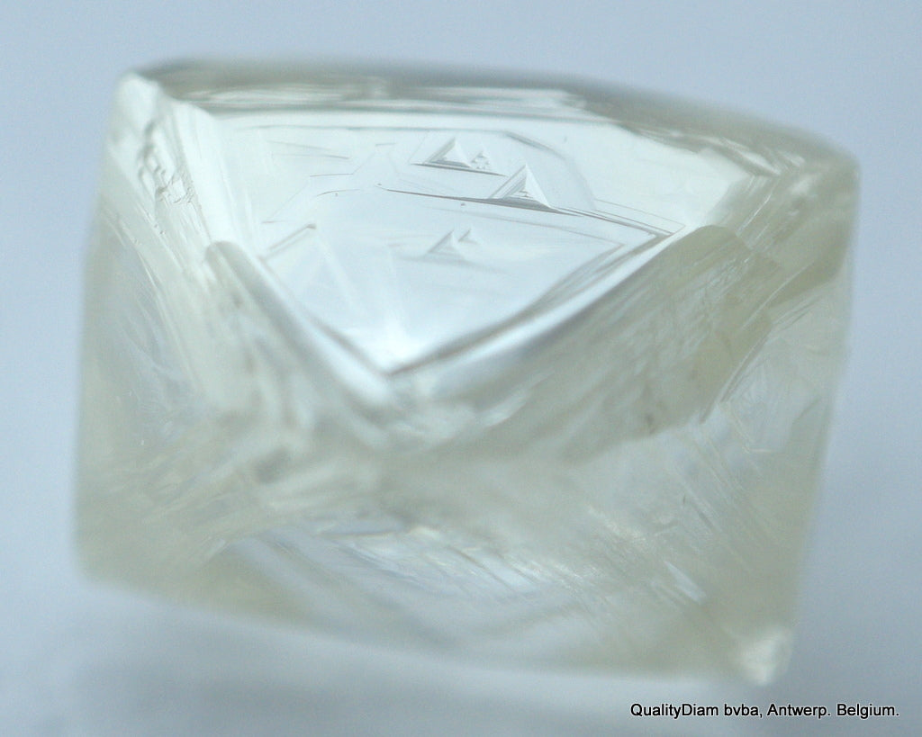 J Flawless 0.74 Carat Genuine Diamond Out From A Diamond Mine Natural Diamond
