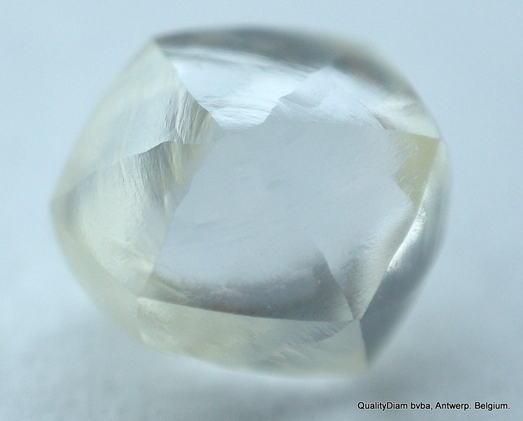 Jewelers Buy Rough Diamond Ready To Set In A Jewel. Recently Mined Uncut Diamond
