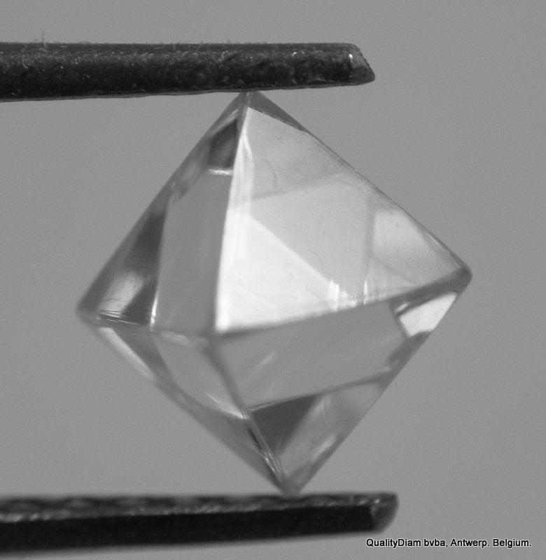An uncut diamond is a precious treasure. Real Is Rare!