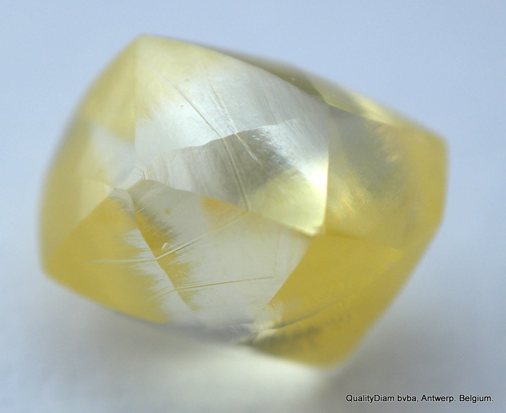 Rare Vivid Fancy Yellow natural, gem diamond out from a diamond mine. 0.81 carat